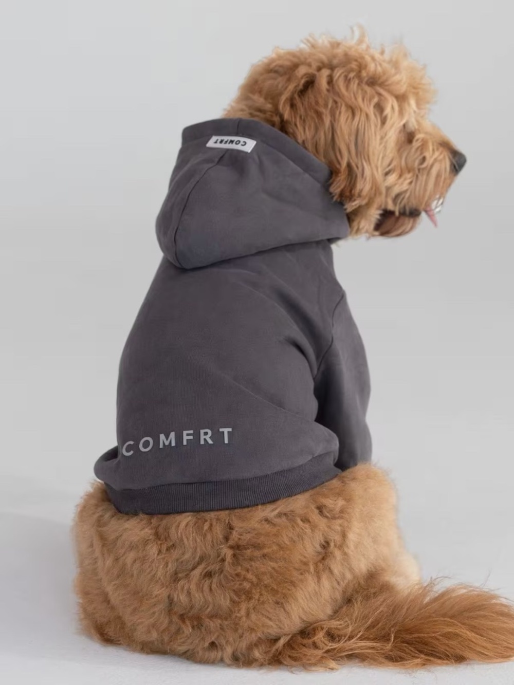 Comfrt Tranquil Paw Hoodie in Obsidian